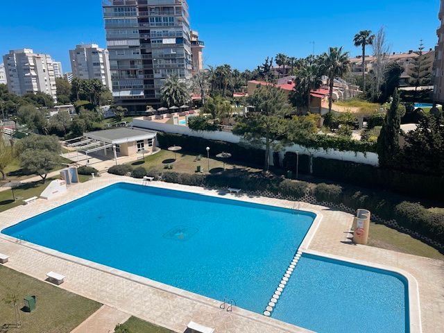 Piscina de Pis de lloguer en Alicante / Alacant amb Moblat i Piscina comunitària