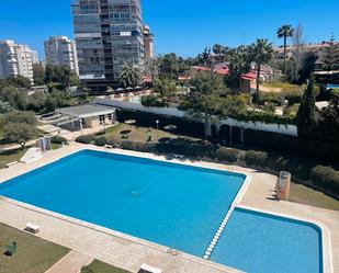 Swimming pool of Flat to rent in Alicante / Alacant  with Furnished and Community pool