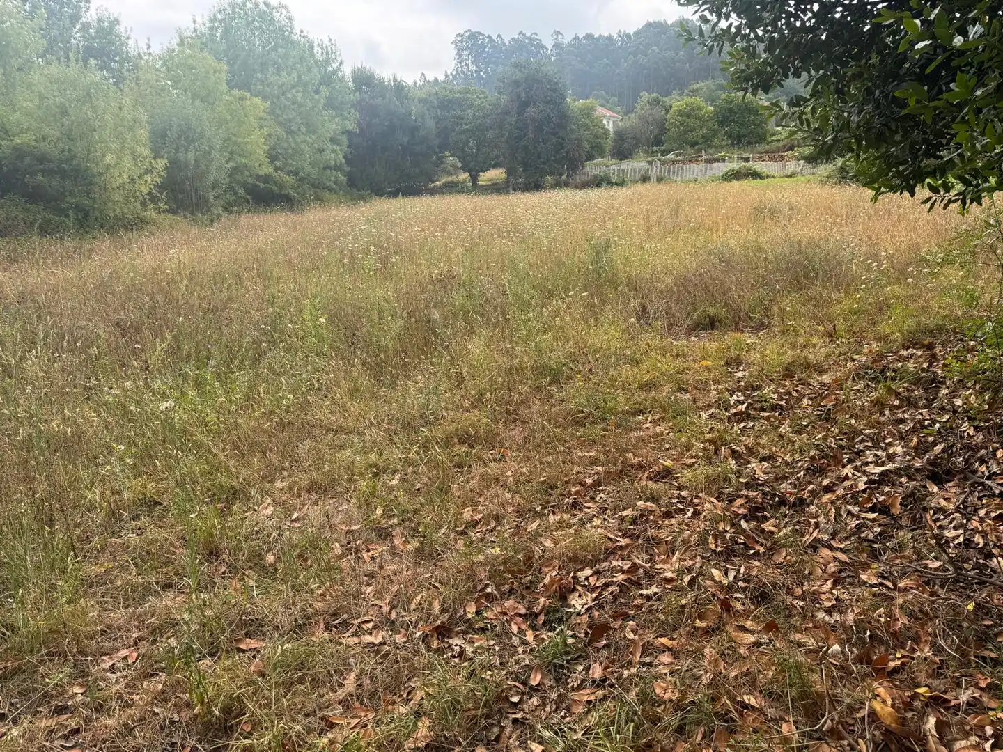Terreny industrial en venda en Vilagarcía de Arousa