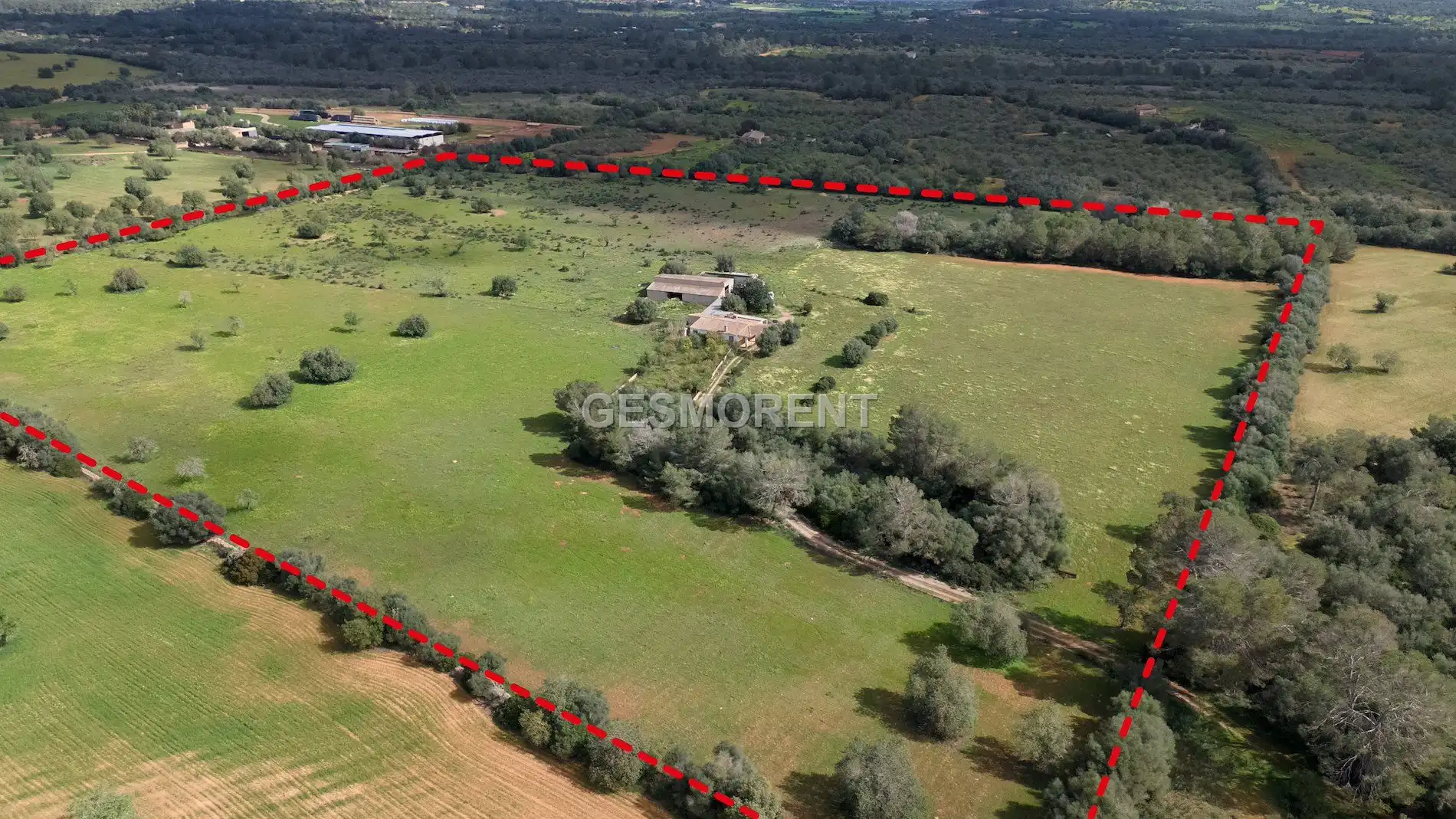 Terrenys i solars en venda a Porreres