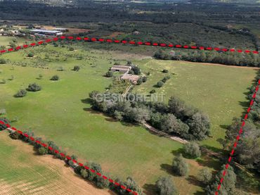 Terrenos y solares en venta en Porreres
