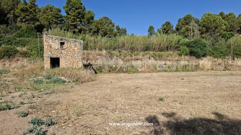 Foto 5 de Finca rústica en venda a Calle Umbría, Mazaleón, Teruel