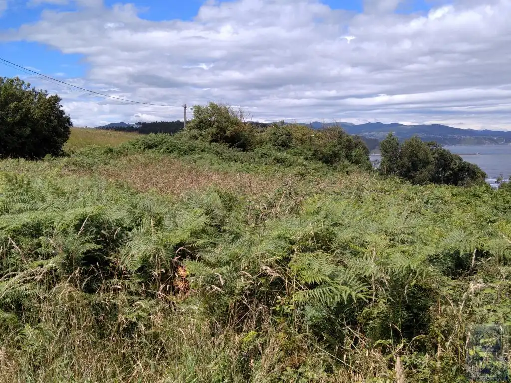 Terreno rustico in vendita a Santa María del Mar - El Puerto, imagen 12