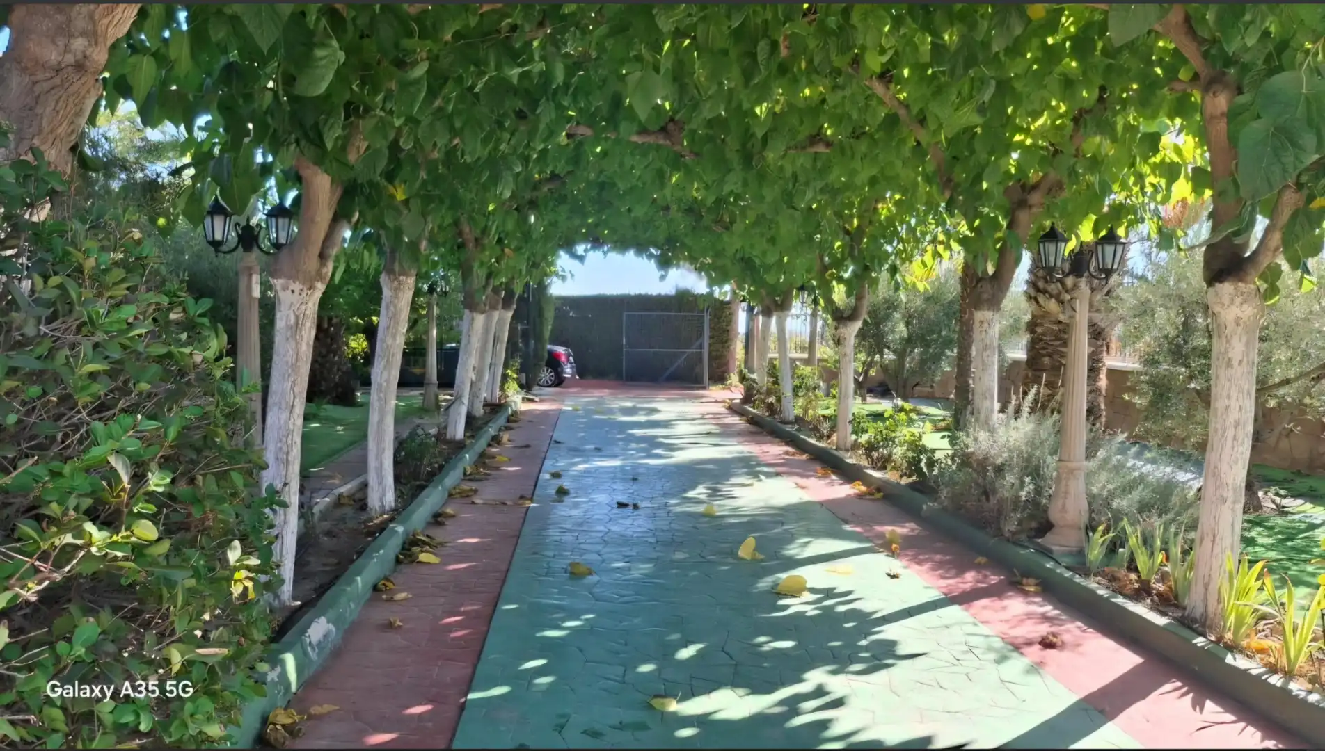 Casa rústica amb piscina en venda a Camino del Tollo, imagen 30