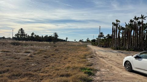 Foto 4 de Terreno en venta en La Foia - Daimés - Asprella, Elche / Elx