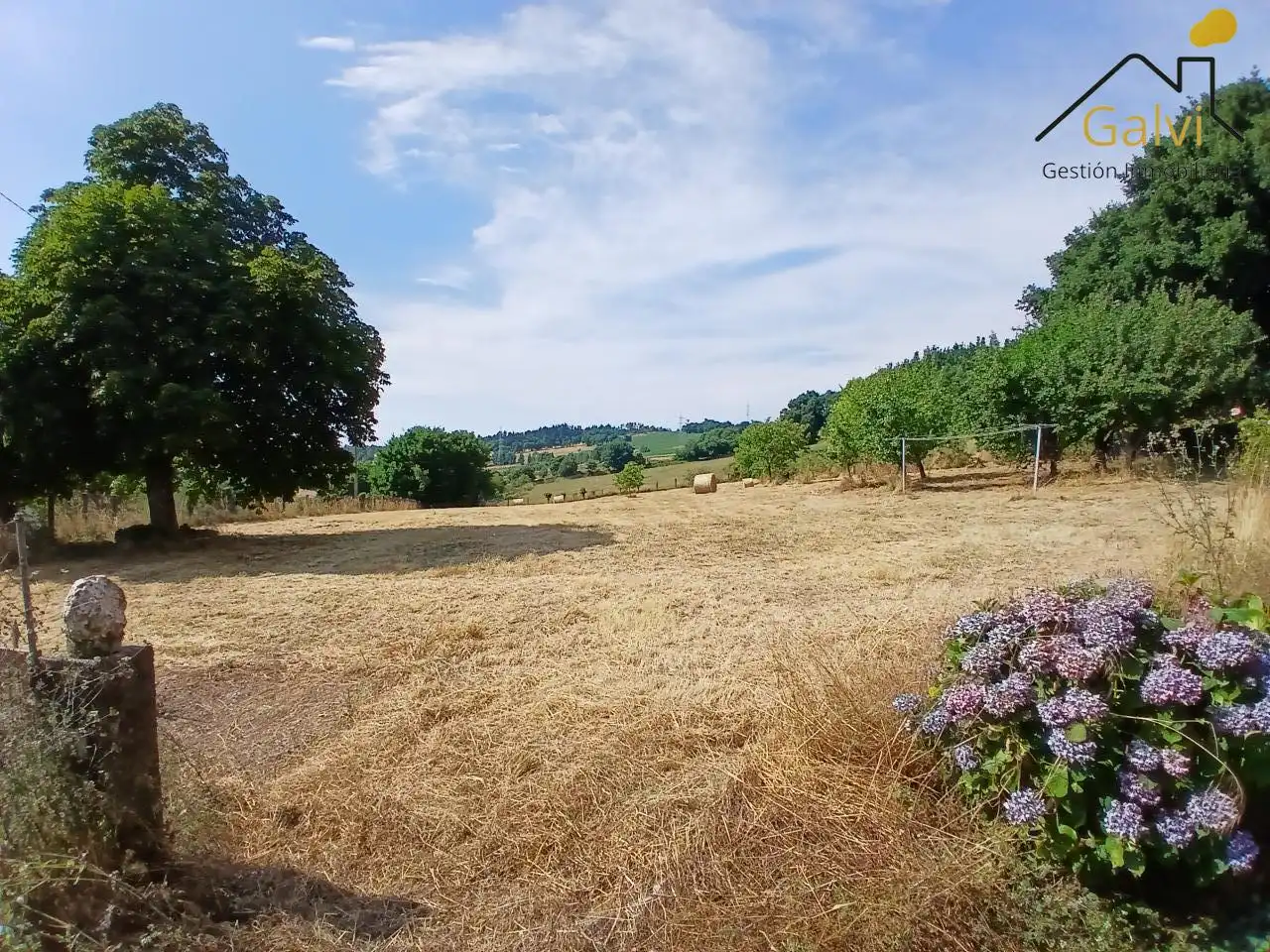 Finca rústica en venda en O Saviñao  amb Traster i Moblat