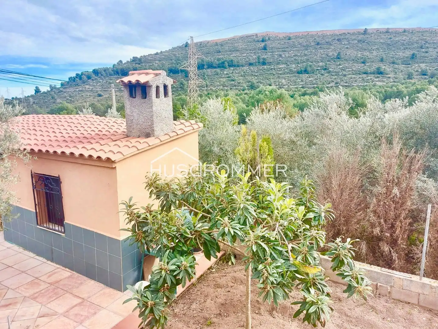Villa avec piscine à vendre à PEDRISA POLIGONO 25, imagen 4