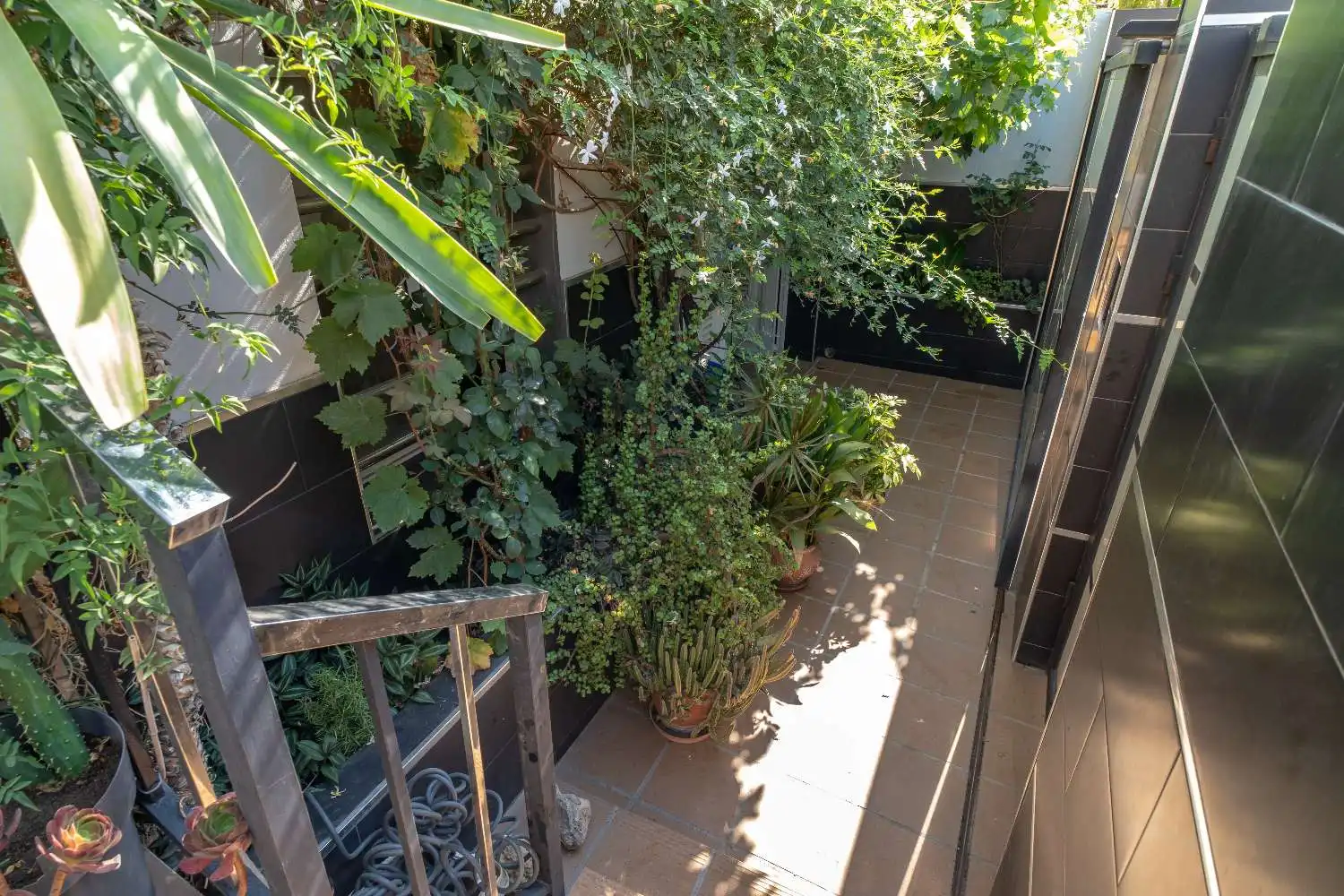 Casa o xalet en venda a Hispanidad - Vivar Téllez