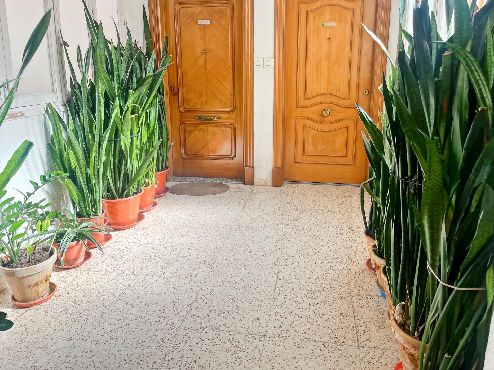 Flat for sale in Orihuela ciudad