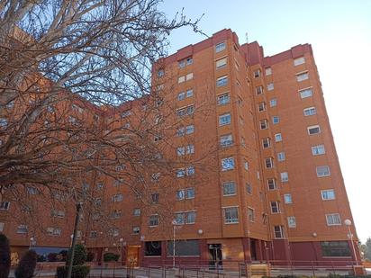 Pis de lloguer a Calle de Montes y Martín-Baro, La Rubia