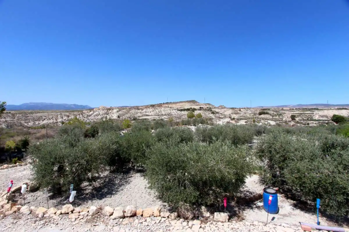 Casa amb jardí en venda a Albudeite, imagen 55