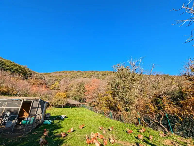 Jardín de Casa o chalet en venta en Agullana con Aire acondicionado y Piscina