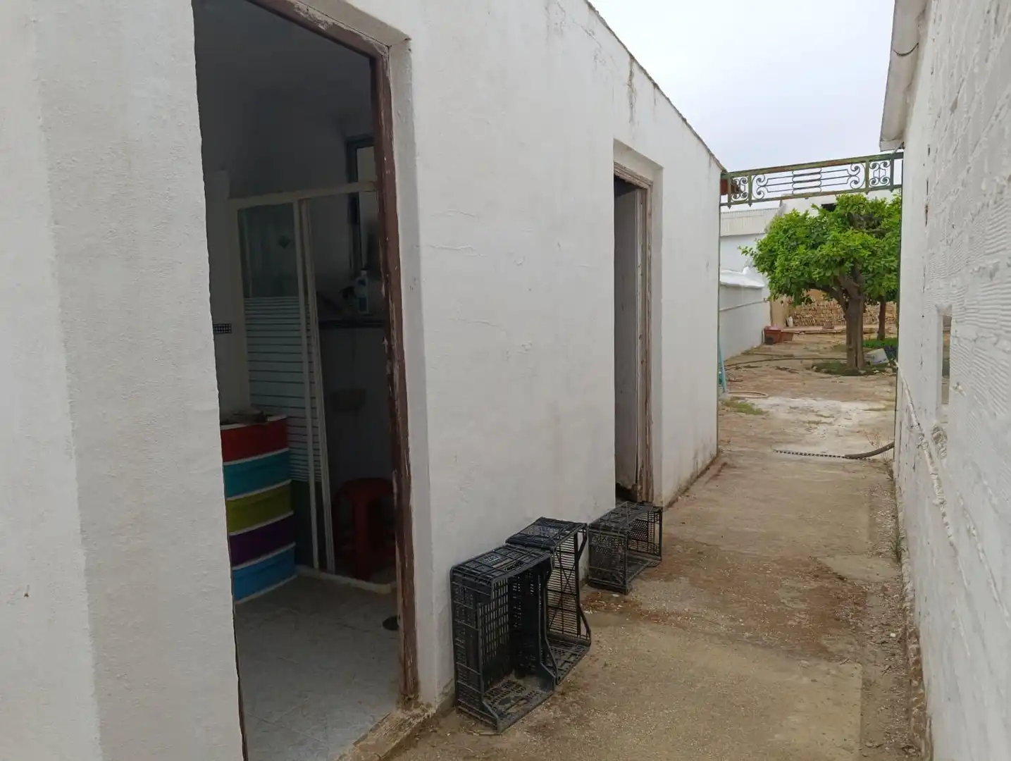 Casa o chalet en venta en Manzanilla con Jardín privado