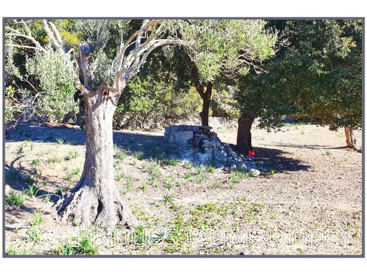 Finca rústica en venta en Mancor de la Vall con Jardín privado y Terraza