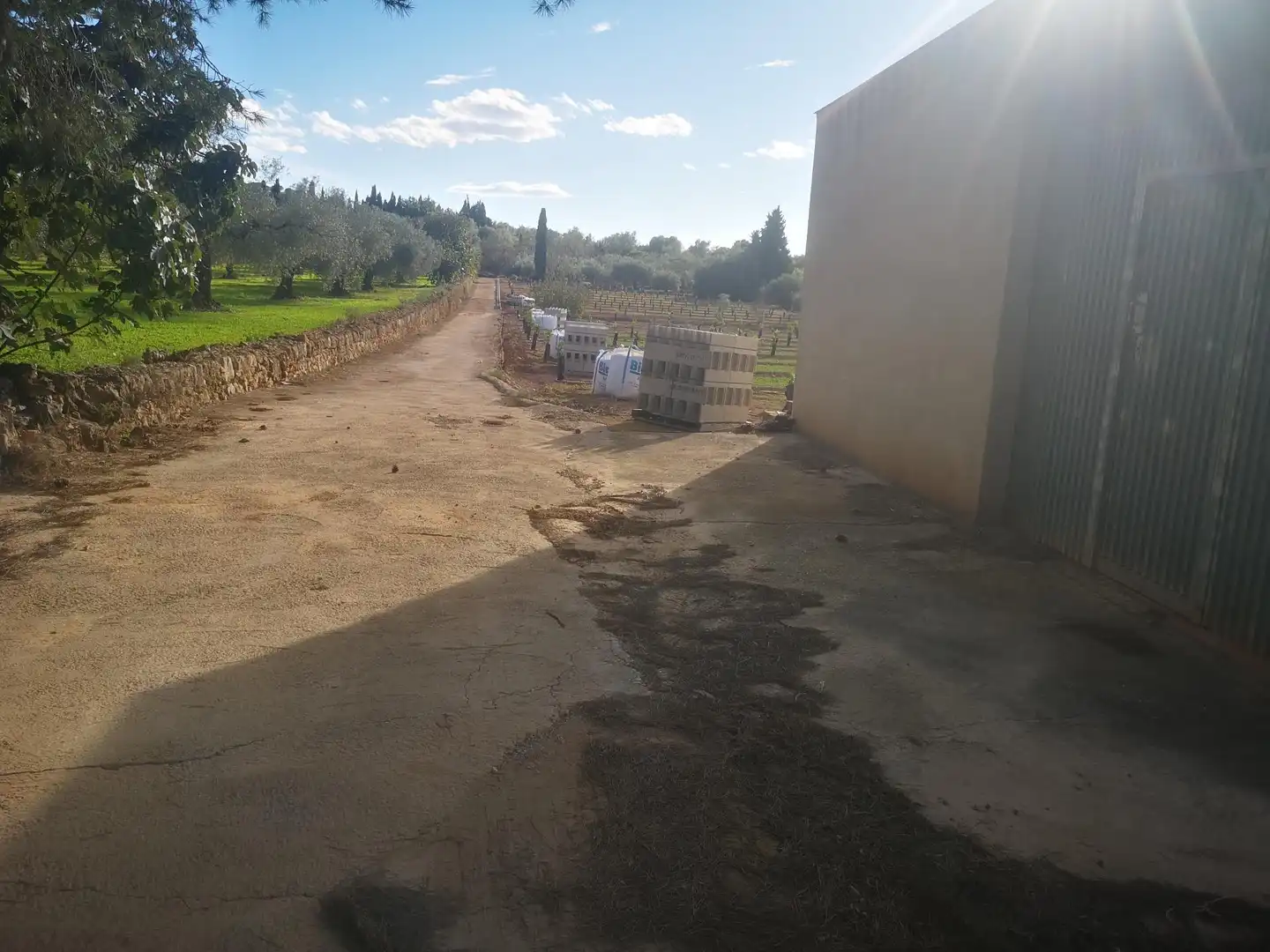 Terreno residenziale in vendita a Ulldecona, imagen 13
