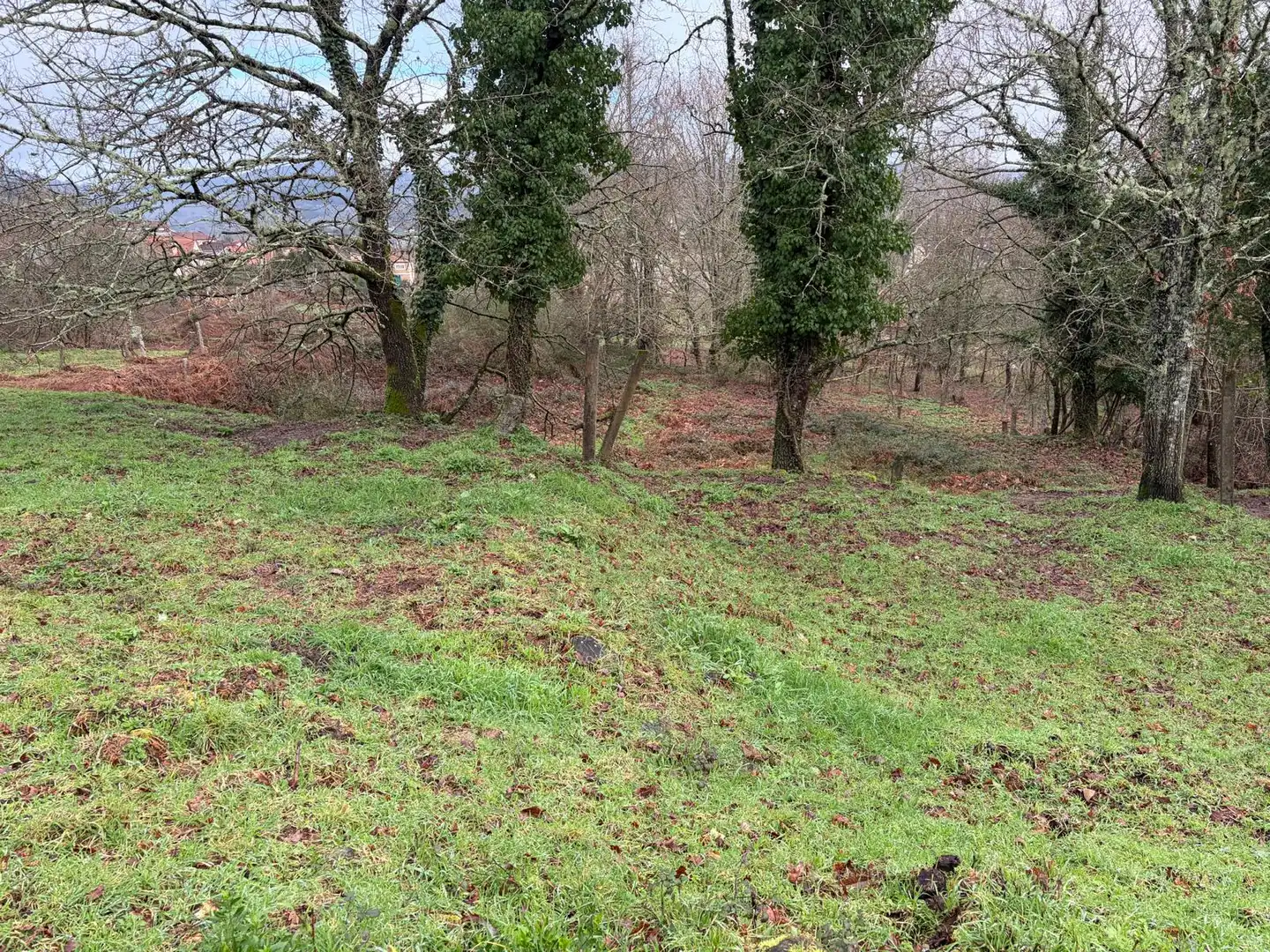 Habitatge amb jardí en venda a Mondariz-Balneario, imagen 4