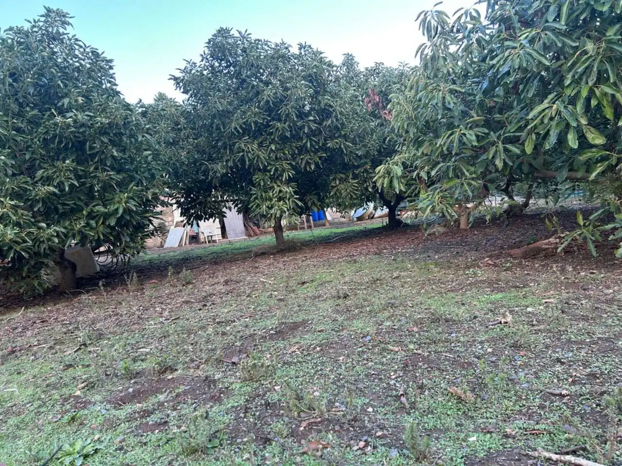 Finca rústica en venda en Estepona amb Aire condicionat, Calefacció i Jardí privat