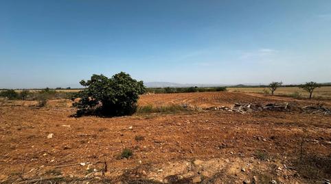 Foto 4 de Finca rústica en venta en Rincon de Tallante, Campo Nubla, Cartagena