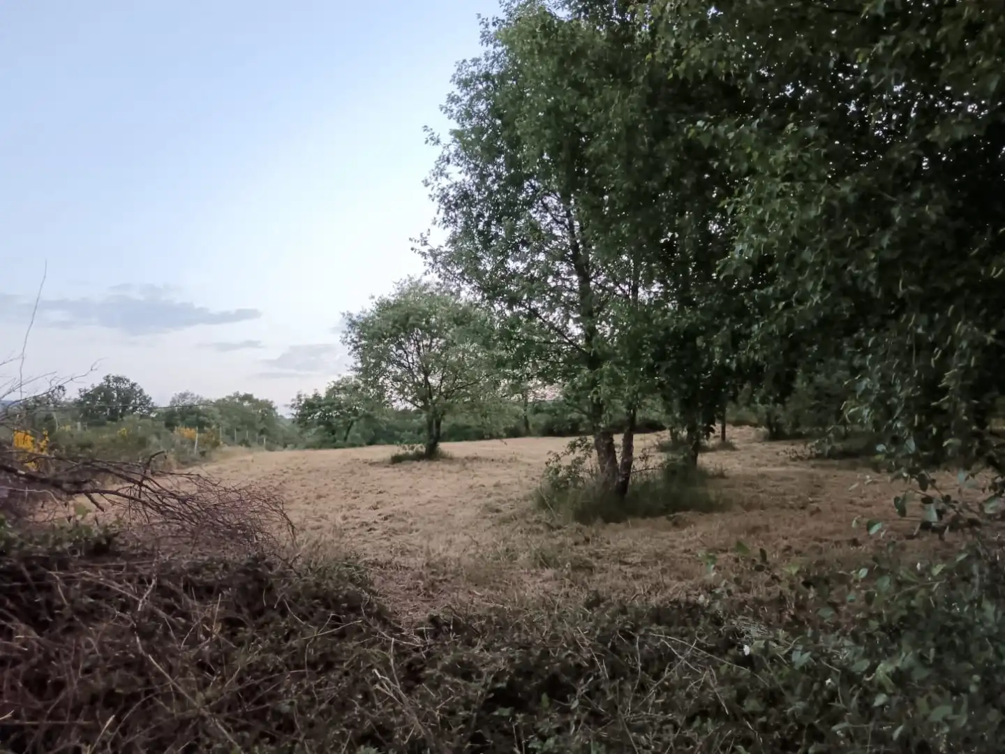 Terreno en venta en Baltar
