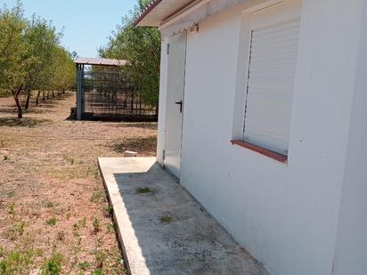 Land for sale in Alcàsser