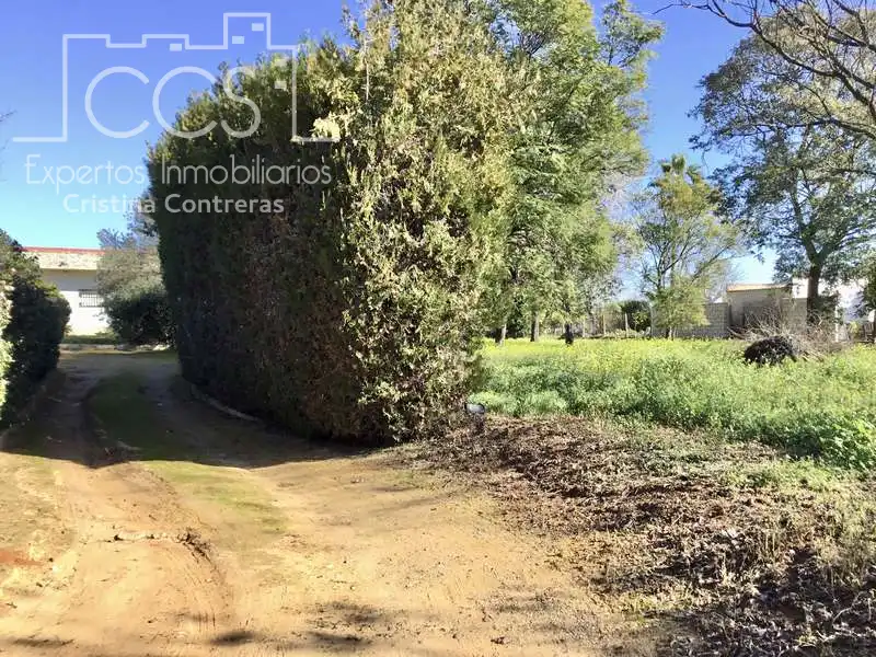 Villa avec piscine à vendre à Sanlúcar la Mayor, imagen 24
