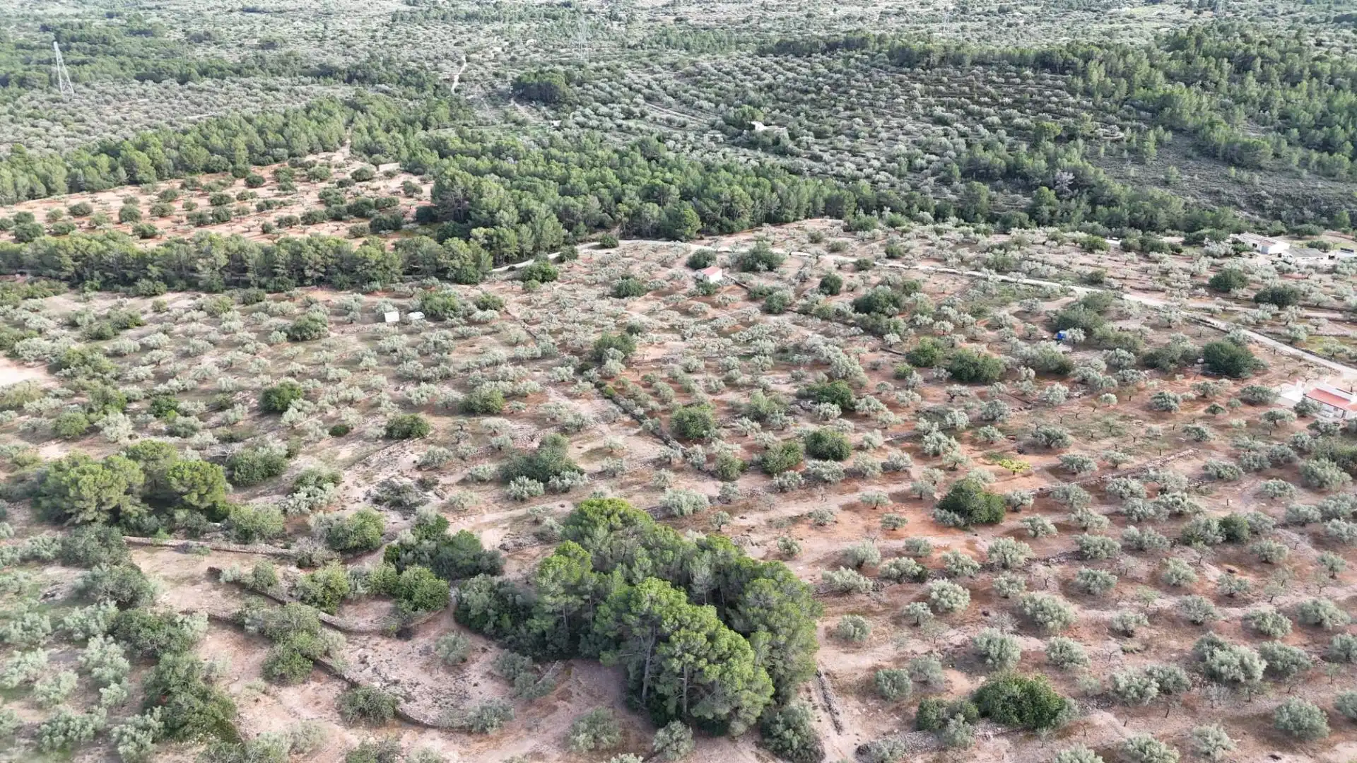 Terreno rustico in vendita a El Perelló, imagen 4