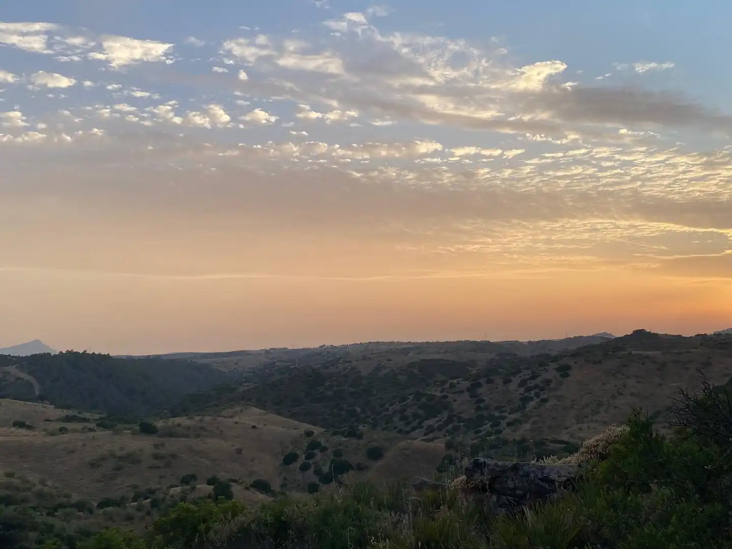 Rural land for sale in Morón de la Frontera, imagen 9