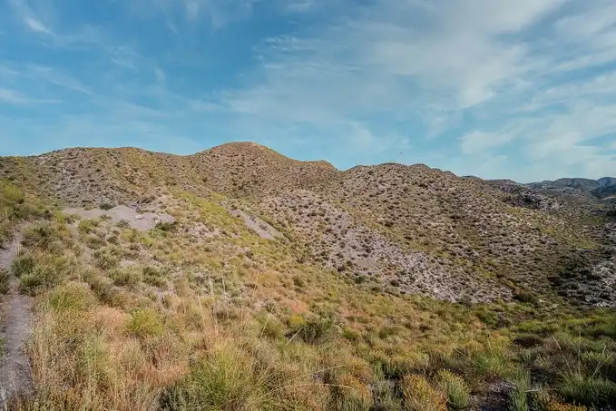 Terreno rustico in vendita a Paraje Collados de las Hormigas, Cumbre de los Collados, Sector 1, imagen 19