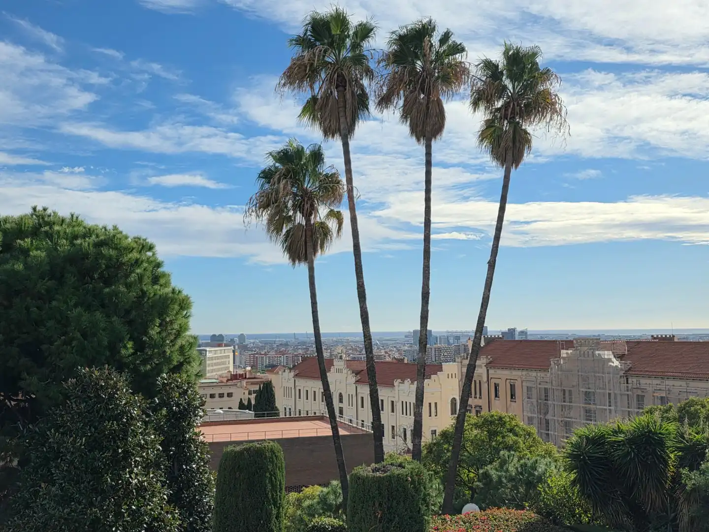 Reihenhaus mit Terrasse zum Verkauf in Calle dels Cavallers, imagen 45