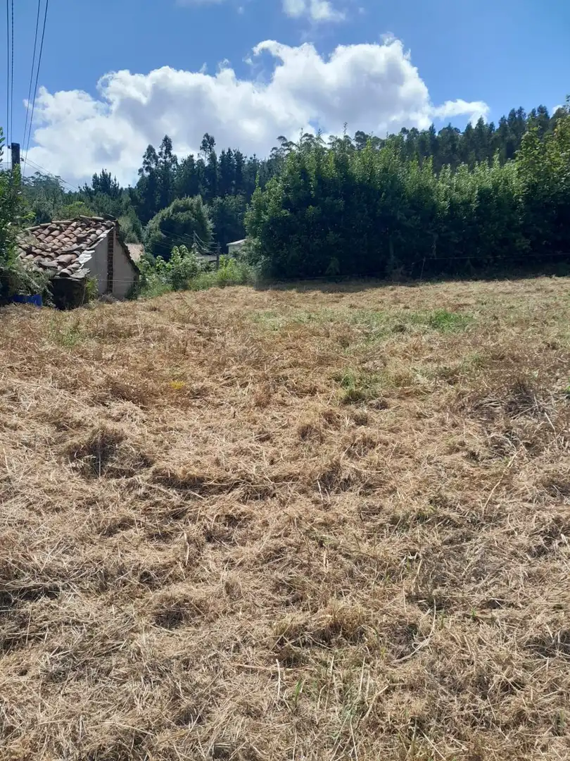 Terreni e lotti in vendita a Cerdido, imagen 9