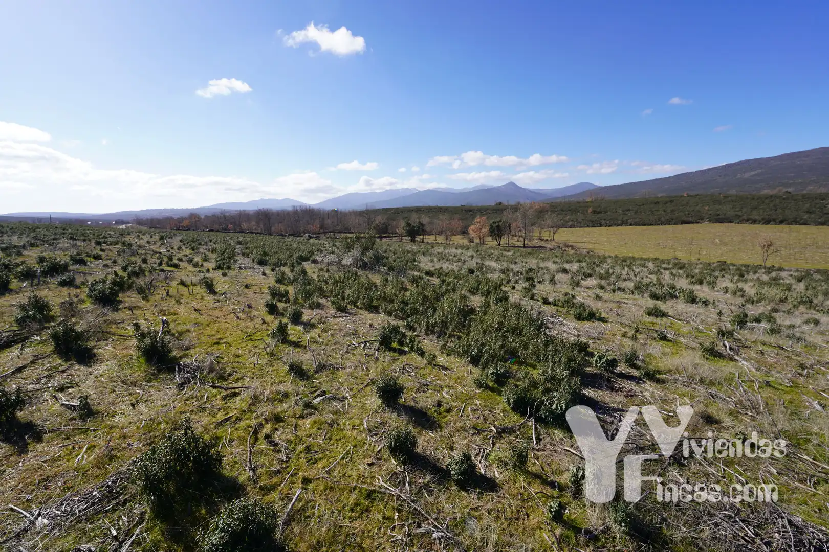 Terreno rústico en venta en Campillo de Ranas, imagen 7
