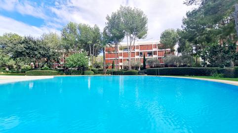 Photo 4 of Planta baja to rent in Portals Nous, Calvià