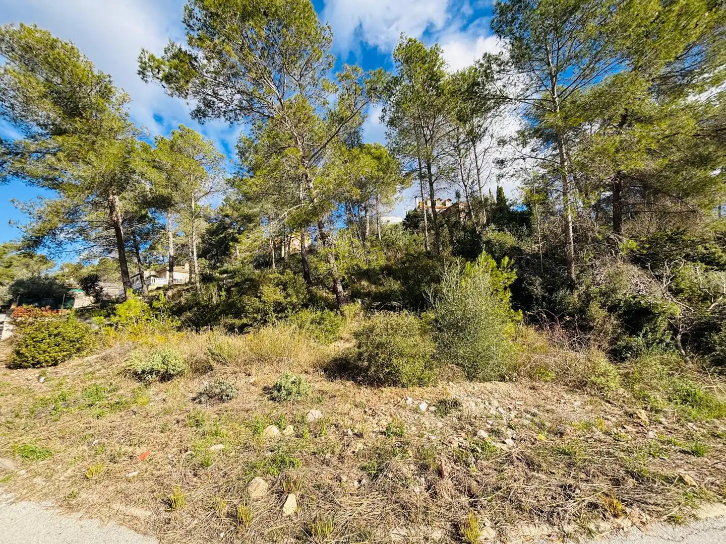 Grundstücke und Bauplätze zum Verkauf in Olivella, imagen 16