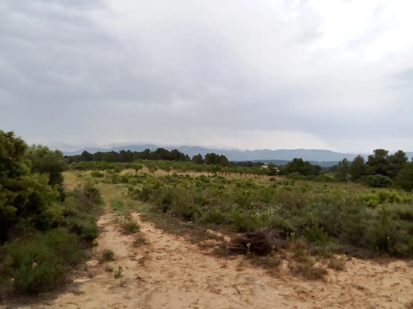 Terreni e lotti in vendita a Arens de Lledó, imagen 5