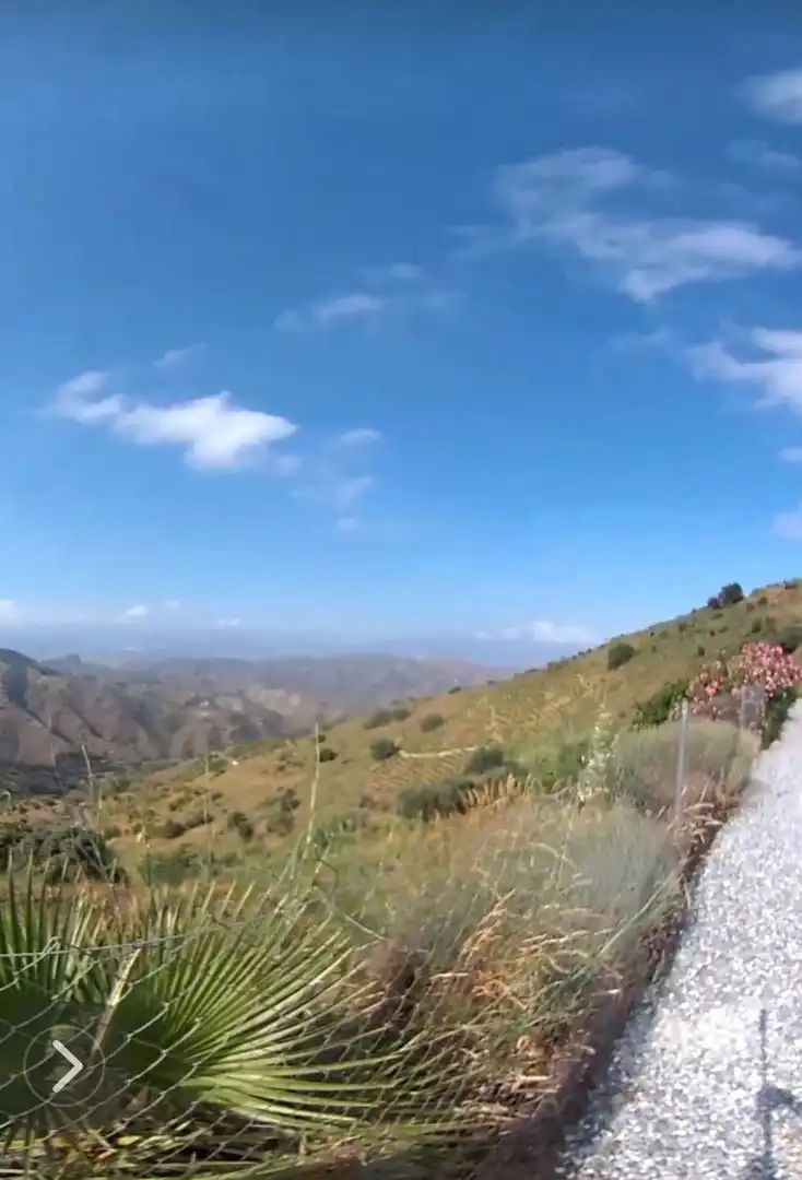 Vista exterior de Finca rústica en venda en El Borge amb Jardí privat, Terrassa i Traster