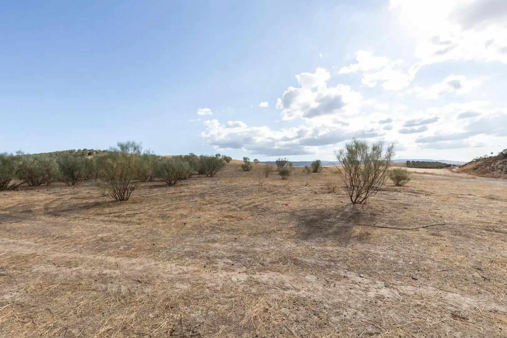 Lands and plots for sale in Polígono Polígono 6 Parcela 17 CAÑADA ESPARRAGAL. VILLA D 6, imagen 7
