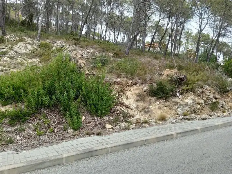 Residential land for sale in DEL COSMOS. PARCELA, imagen 13