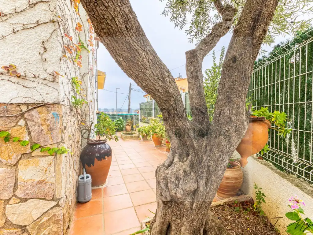 Casa en venta en Calle Valencia, imagen 23