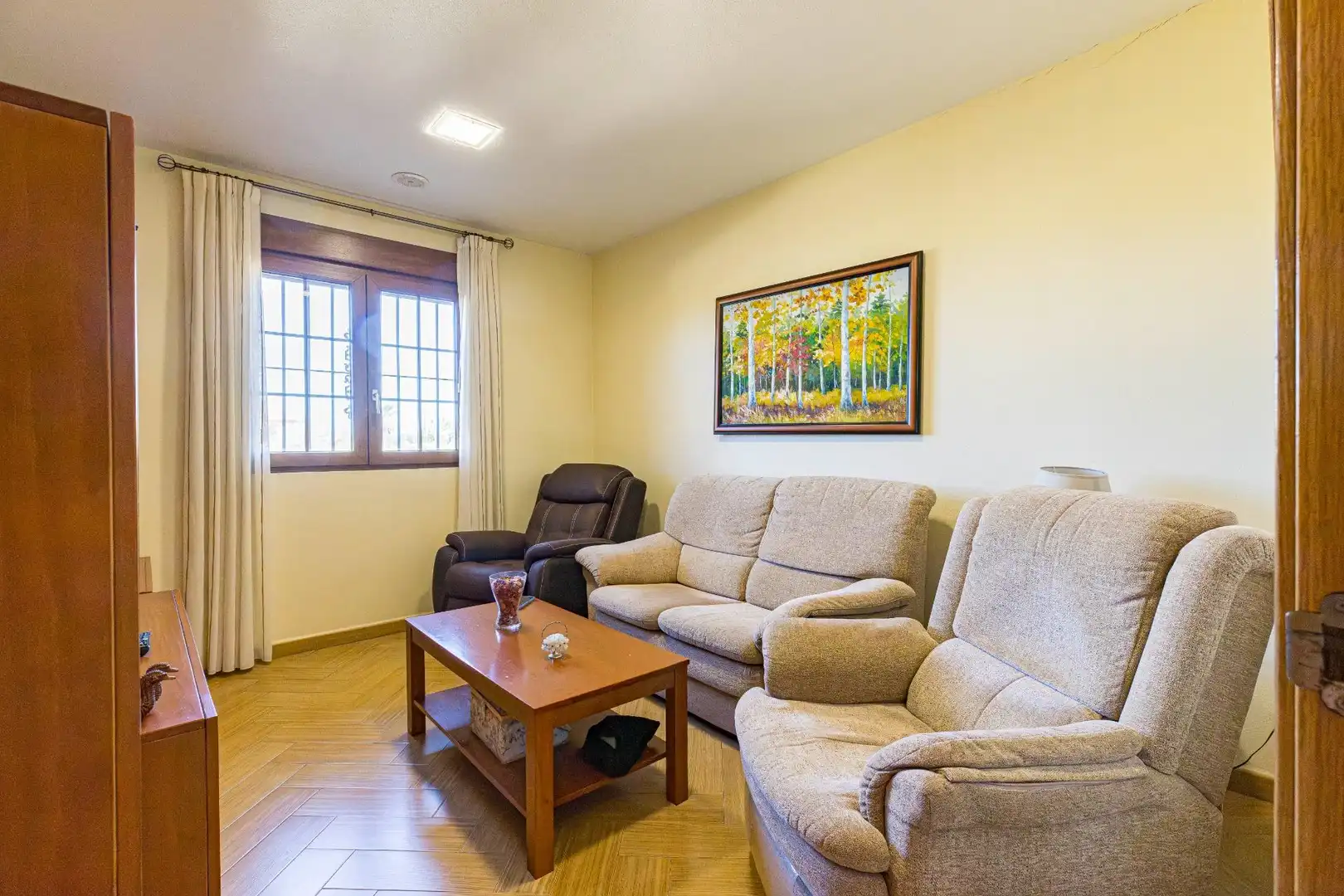 Sala de estar de Casa o chalet en venta en Murcia con Aire acondicionado, Calefacción y Jardín privado