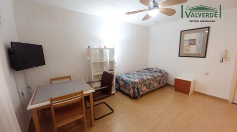 Photo 3 of Study for rent in Calle San Juan de Dios, Centro - Sagrario,  Granada Capital