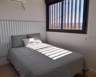 Study to rent in  Murcia Capital