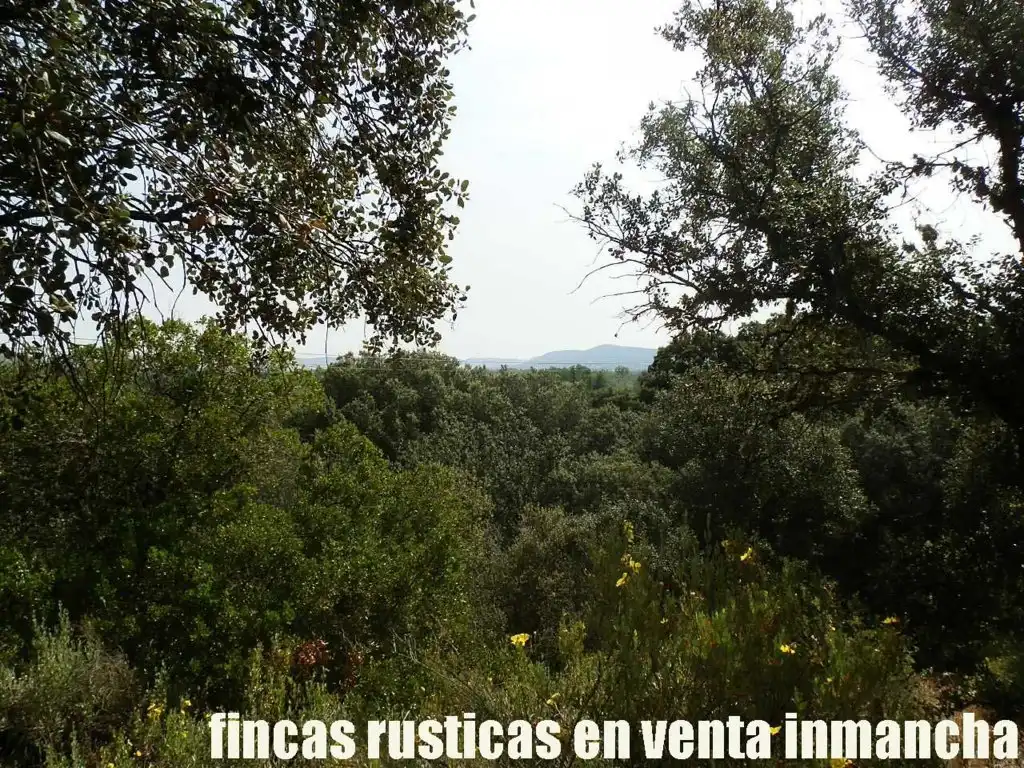 Terreny rústic en venda a Alcolea de Calatrava, imagen 16