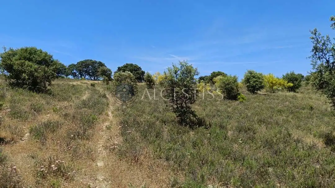 Terreno en venta en La Torre de Esteban Hambrán