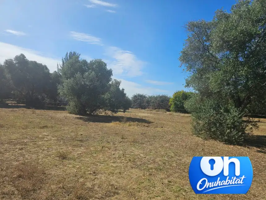 Terrenos y solares en venta en Gibraleón, imagen 10