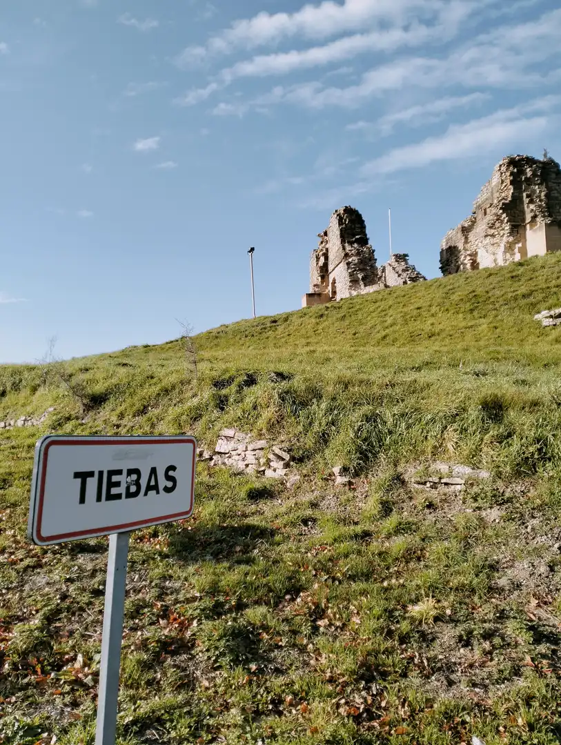 Exterior view of Land for sale in Tiebas-Muruarte de Reta