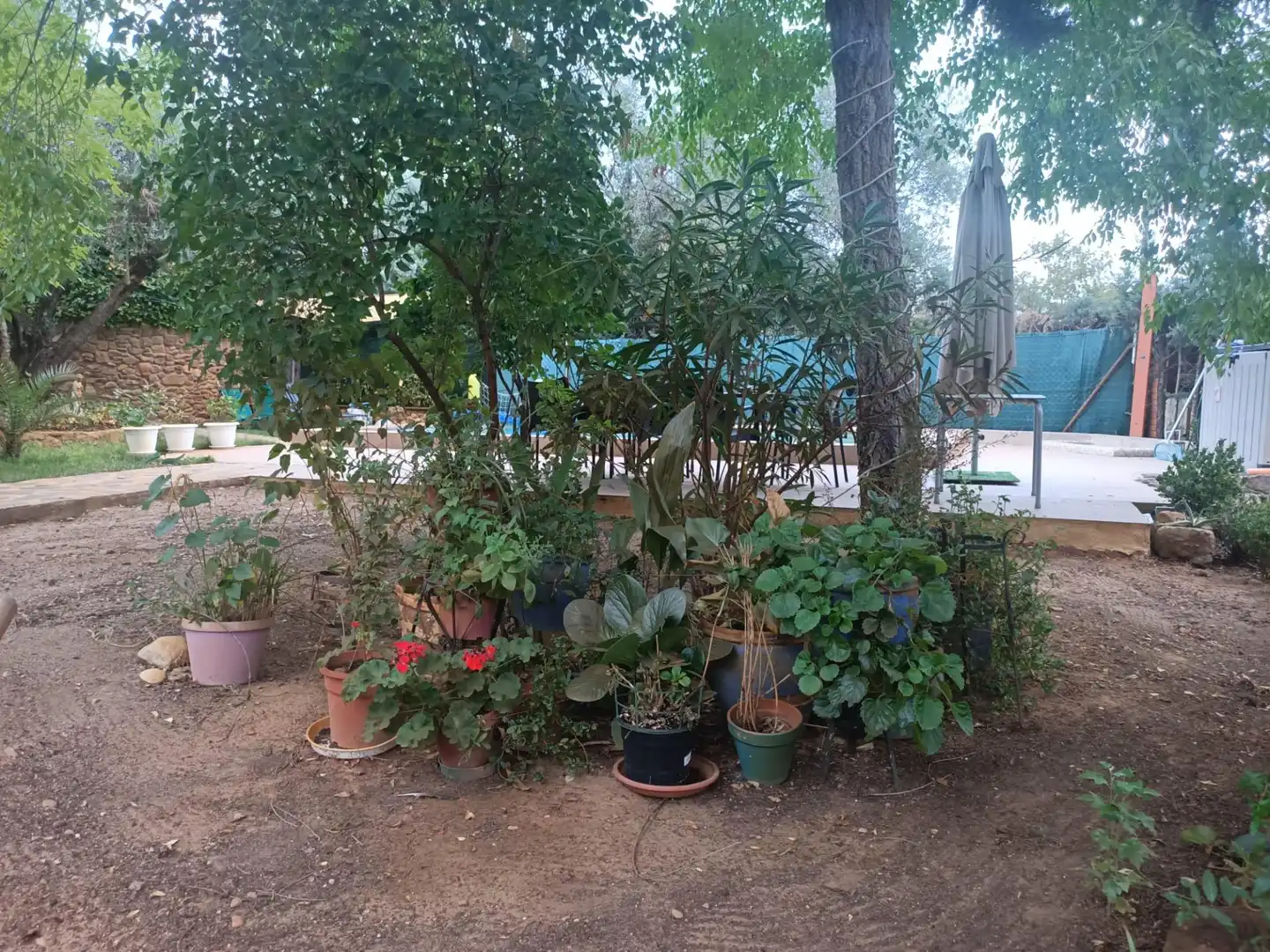 Jardí de Casa o xalet en venda en Piedrabuena amb Aire condicionat, Calefacció i Jardí privat