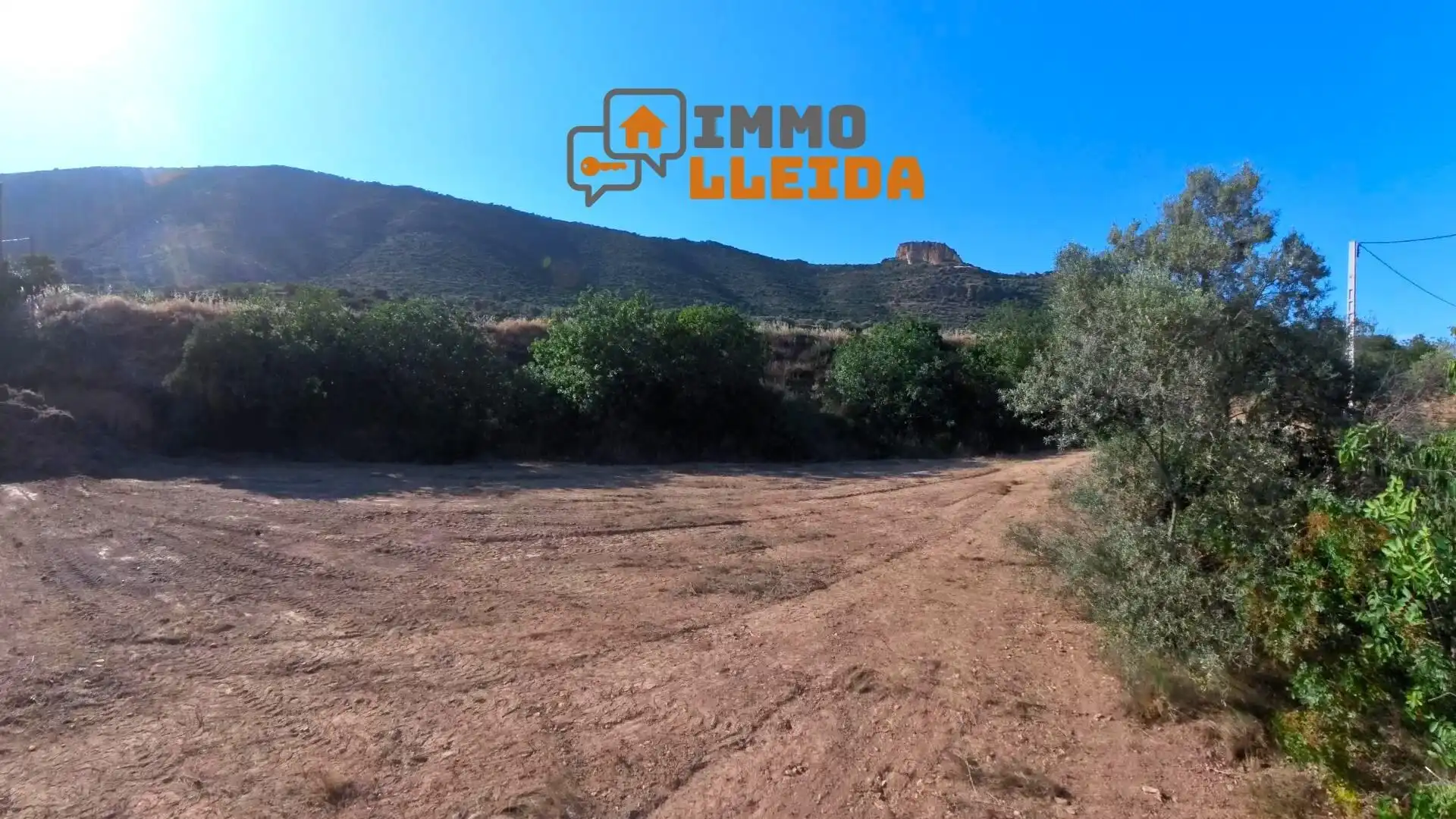 Terreny rústic en venda a Partida La Solana, imagen 16