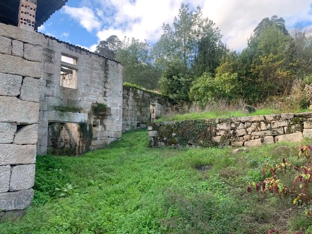 Houses for sale in San Rosendo