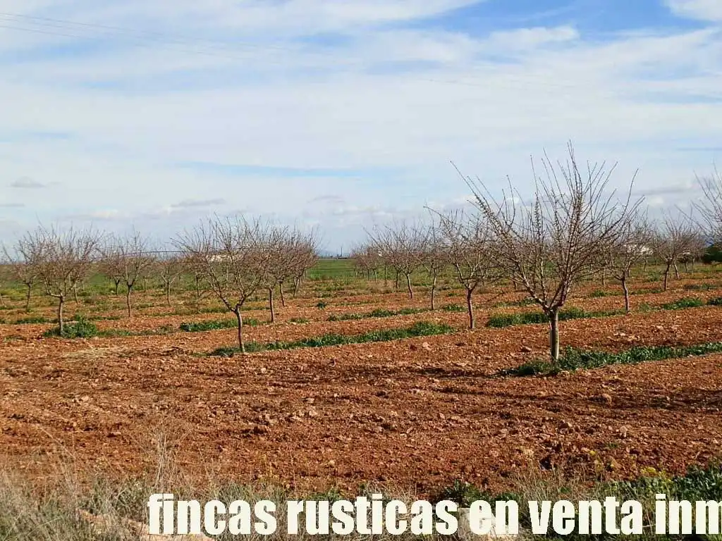 Terreny rústic en venda a Manzanares, imagen 8