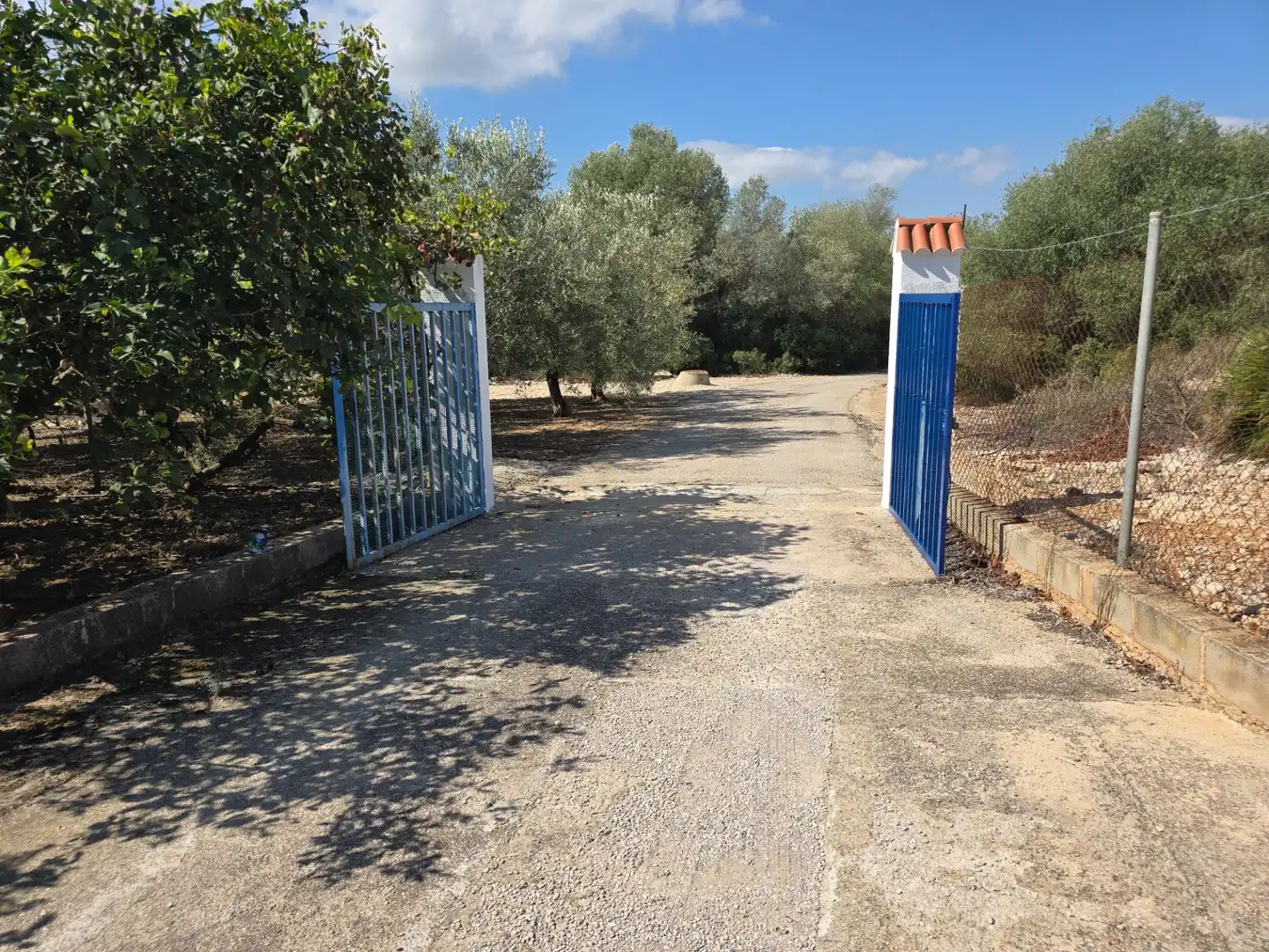 Finca rústica en venta en Freginals con Jardín privado